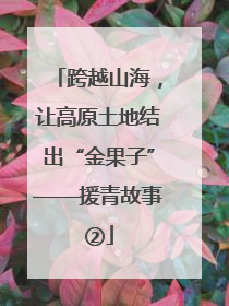 跨越山海，让高原土地结出“金果子”——援青故事②